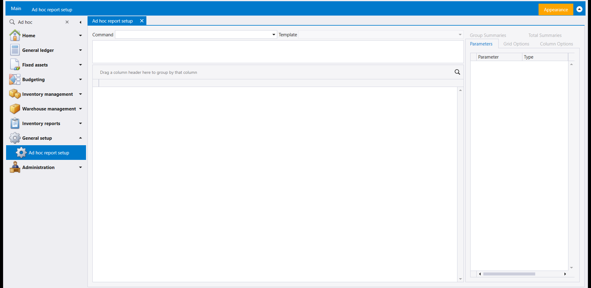 The Ad hoc report setup screen: Command and Template boxes above an editing pane and a grid, with Group Summaries, Total Summaries, Parameters, Grid Options and Column Options tabs on the right